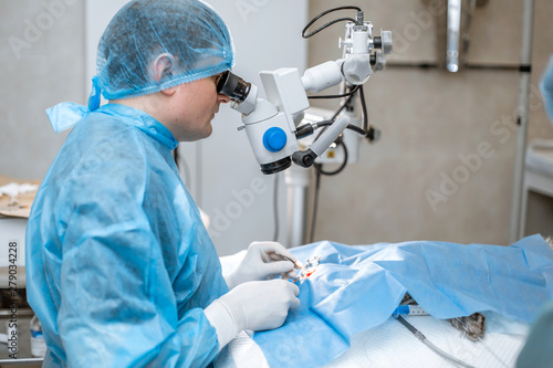 A professional ophthalmologist performs eye surgery with a microscope. The doctor inserted the dilator into the eye, washes and removes pus with a syringe. Endoscopic eye surgery. medical equipment