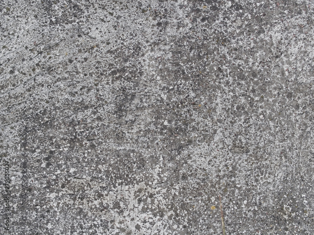 Old grey withered moss concrete slab background for design, banner and layout