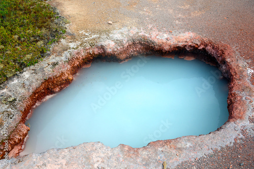 thermal pools in geyser area of Yellowstone National Park