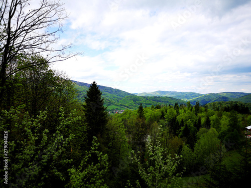 Fototapeta Naklejka Na Ścianę i Meble -  Beskidy 4