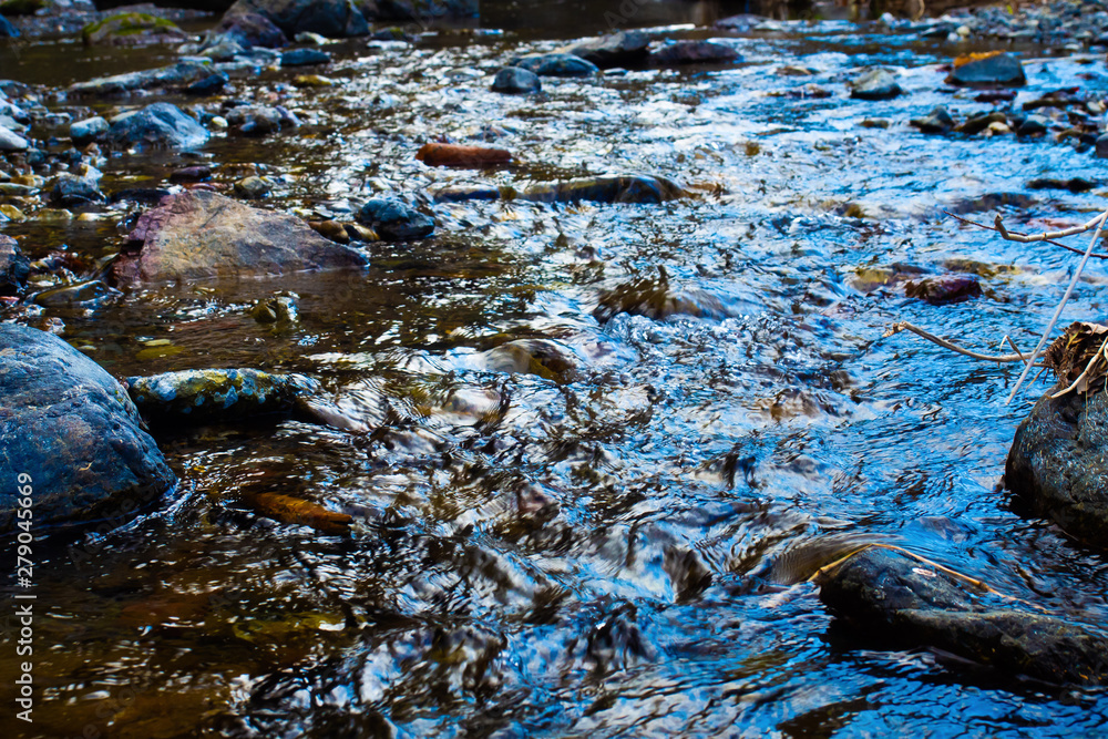 Obraz premium 吾野渓谷