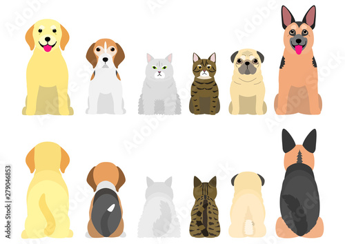 senior dogs and cats in a row, front and back