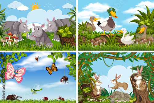Set of various animals in nature scenes