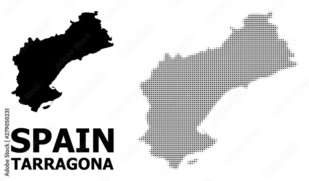Vector Halftone Pattern and Solid Map of Tarragona Province