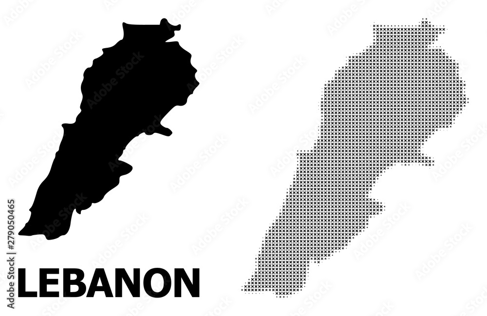 Vector Halftone Mosaic and Solid Map of Lebanon