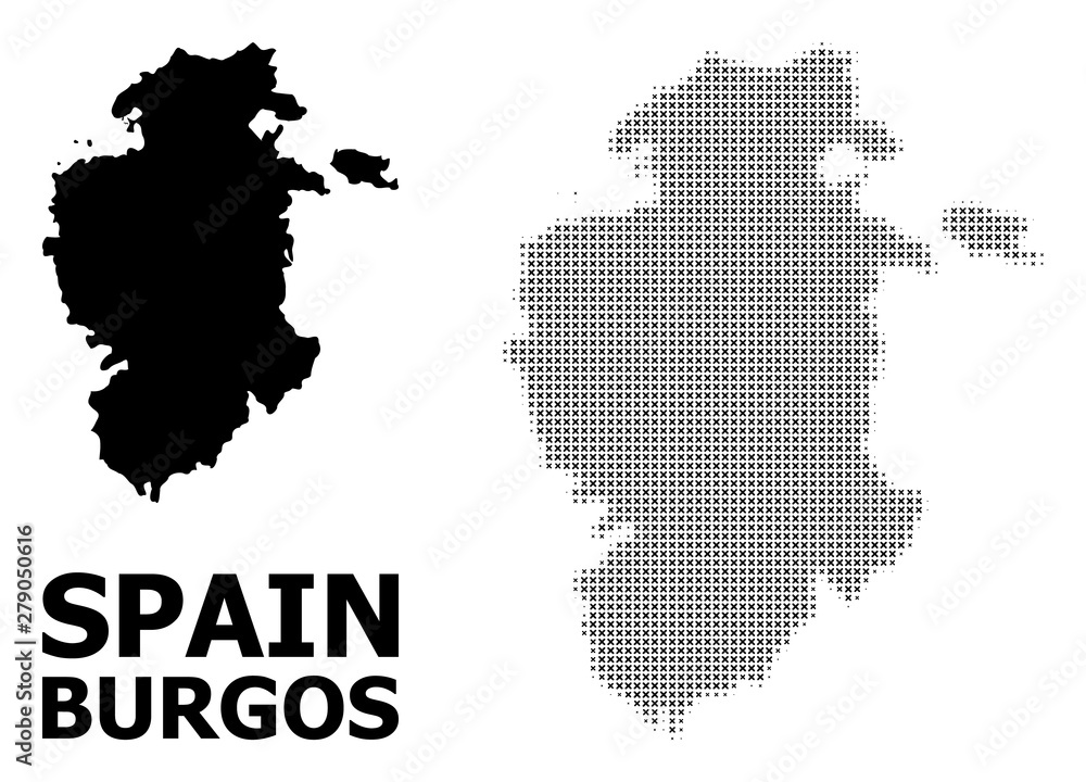 Vector Halftone Mosaic and Solid Map of Burgos Province