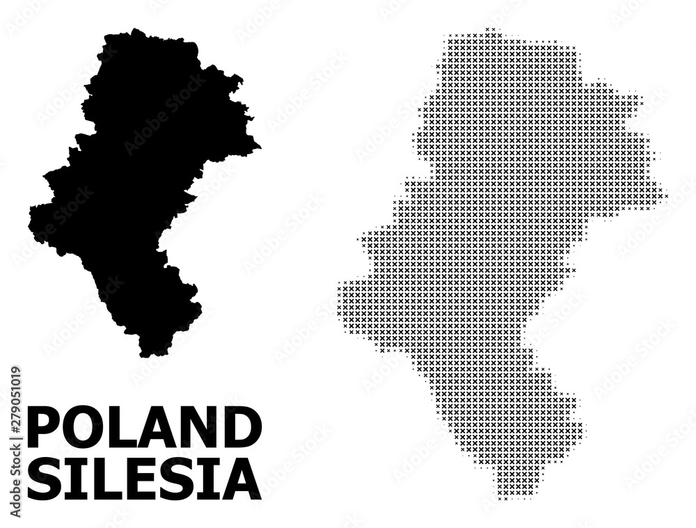 Vector Halftone Pattern and Solid Map of Silesia Province