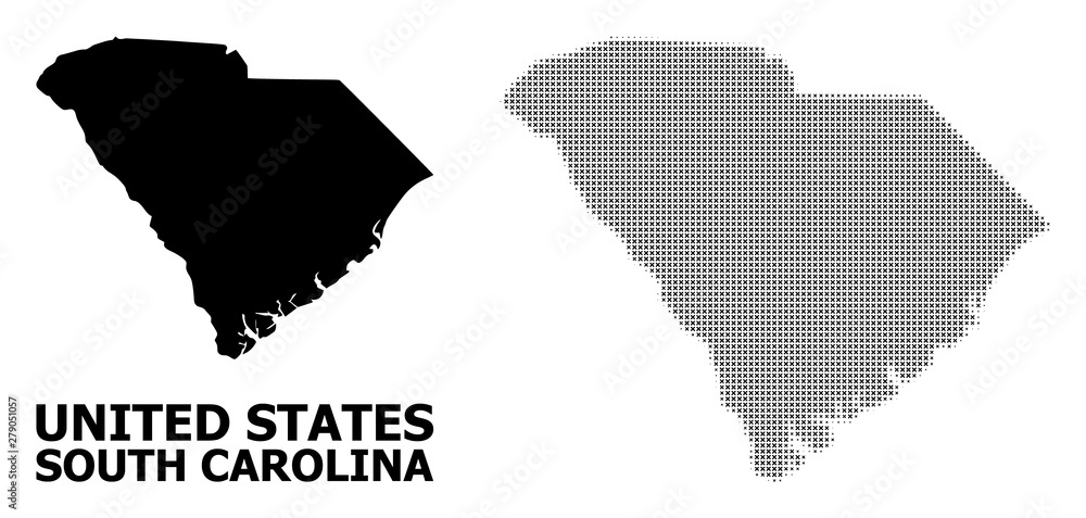Vector Halftone Pattern and Solid Map of South Carolina State Stock ...