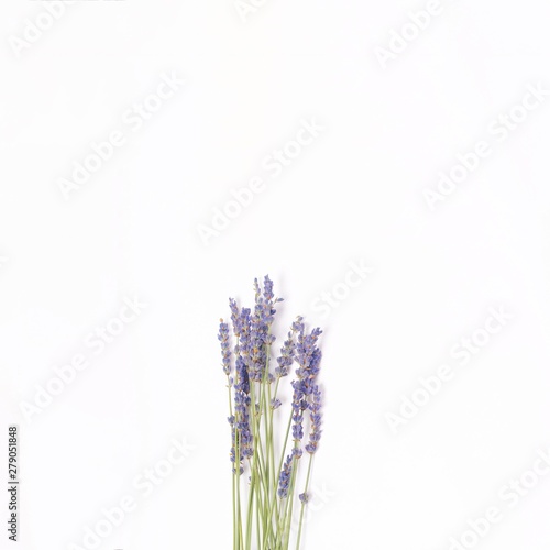 bouquet of violet lilac purple lavender flowers arranged on white table background. Top view  flat lay mock up  copy space. Minimal background concept. Dry flower floral composition isolated on white