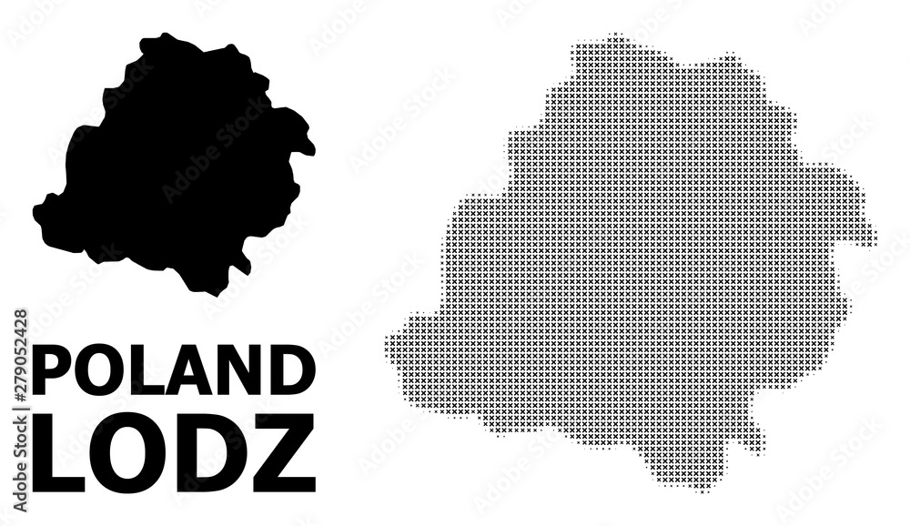 Vector Halftone Pattern and Solid Map of Lodz Province