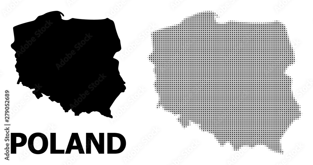 Vector Halftone Pattern and Solid Map of Poland