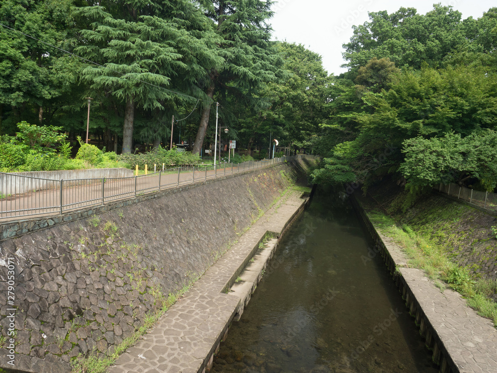 東京都　善福寺川と和田堀公園
