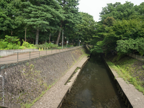 東京都 善福寺川と和田堀公園
