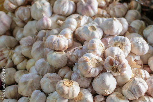 Fresh White garlic top view. Vitamin healthy food spice image.Group of fresh garlic on market table closeup photo.Spicy cooking ingredient picture. Pile of white garlic heads.