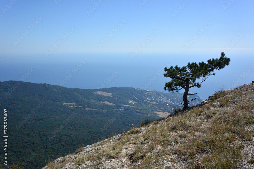 View of Mount Ai-Petri from View of Mount Ai-Petri from