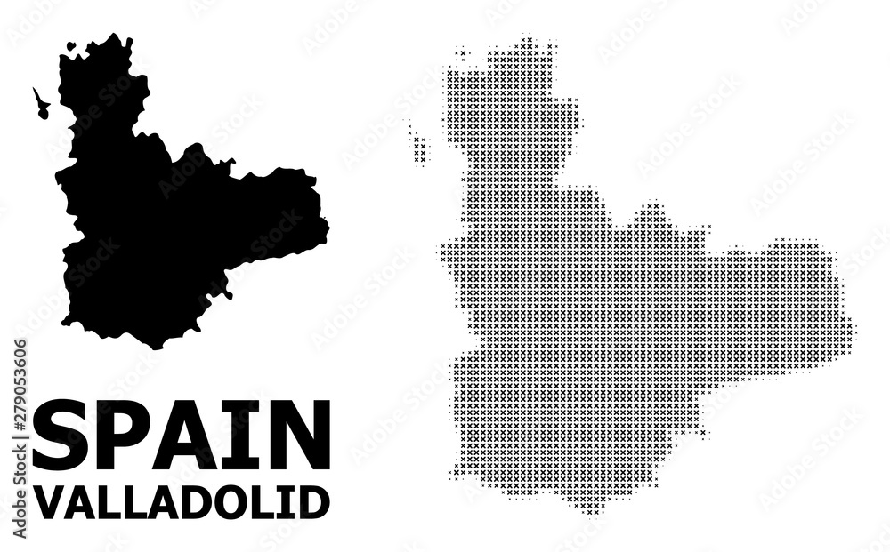 Vector Halftone Pattern and Solid Map of Valladolid Province