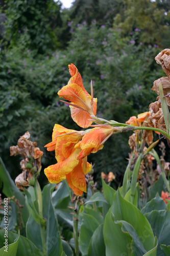 Beautiful places of the Nikitsky Botanical Garden