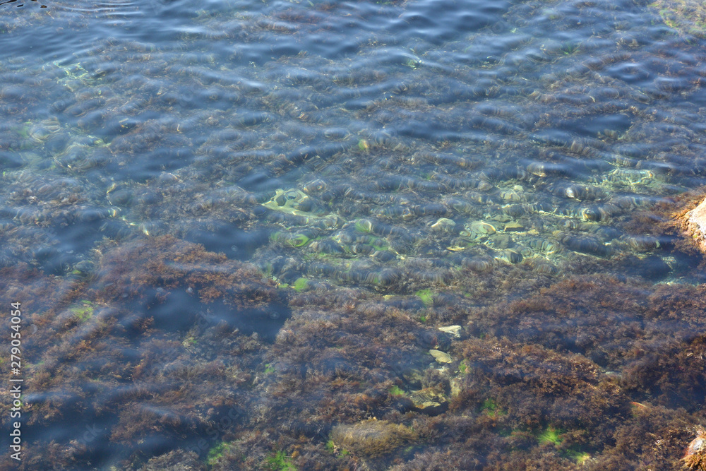 Clear sea near the Crimean coast Clear sea near the Crimean coast