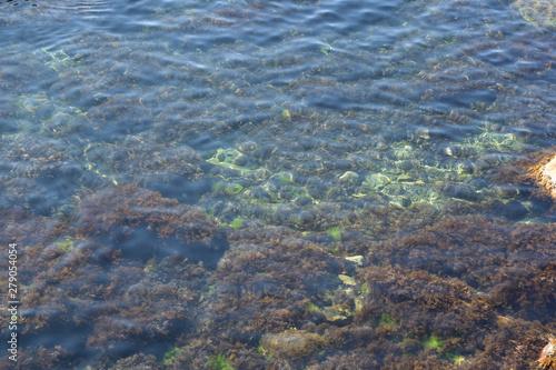 Clear sea near the Crimean coast