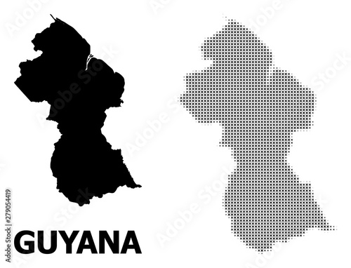 Vector Halftone Mosaic and Solid Map of Guyana