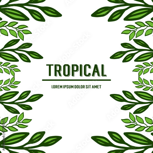 Shape card tropical  green leaves frame design. Vector