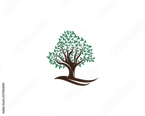Green Of tree leaf logo ecology element nature vector