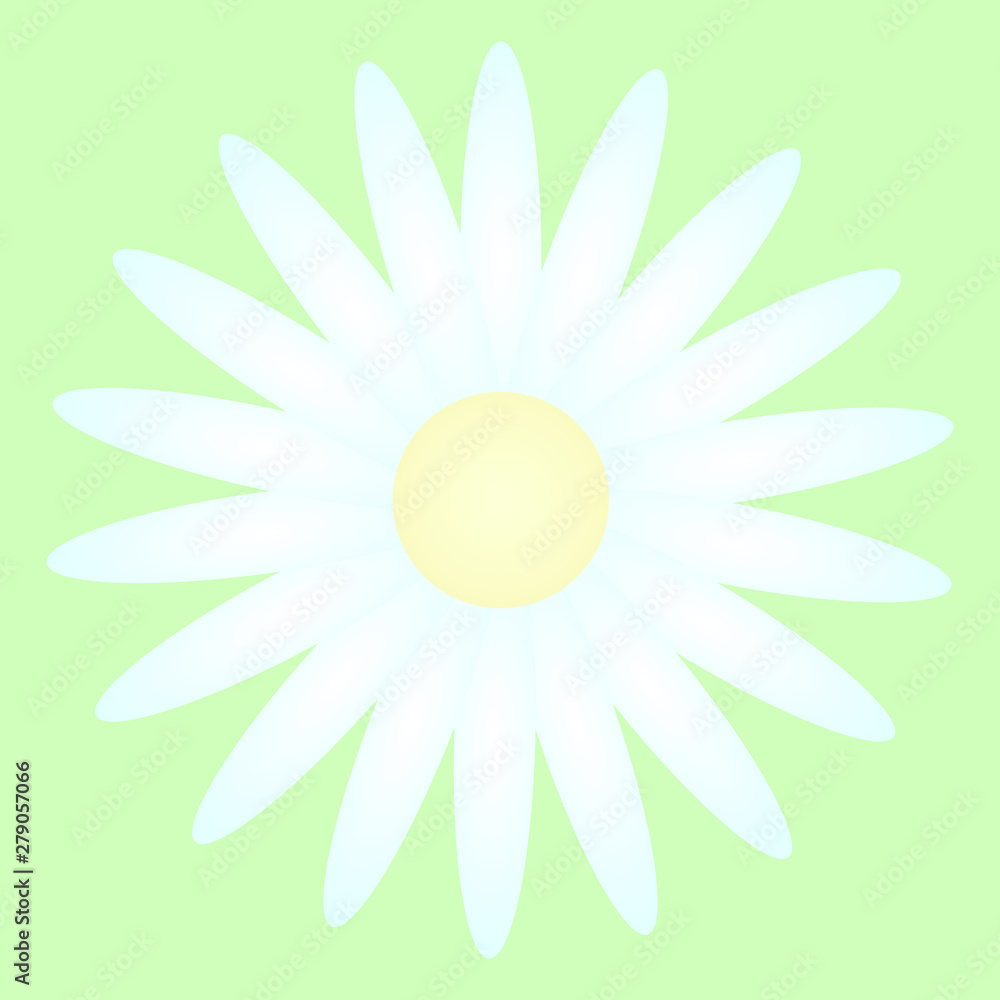 Daisy Daisy