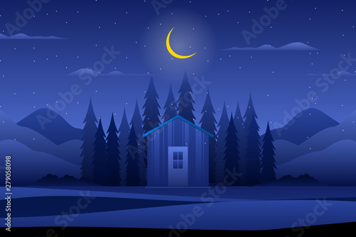 Scenery winter night with forest background