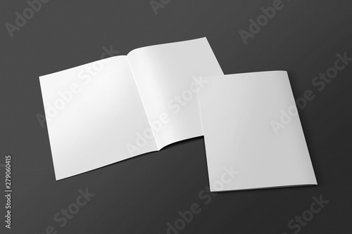 Canvas Print Blank opened and closed 3D illustration magazine mock-up with cover