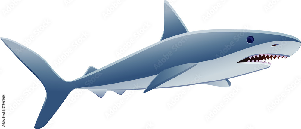 Vector icon of shark in white background