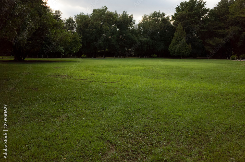 Obraz premium In tokyo