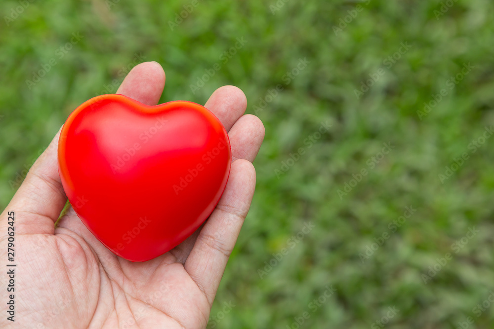 Hand hold red heart with green Hand hold red heart with green