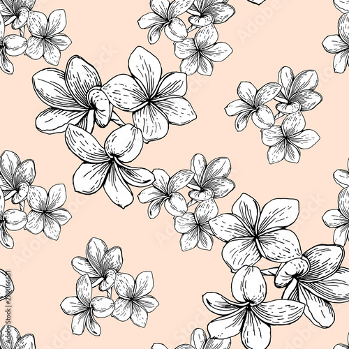 White plumeria flower pattern