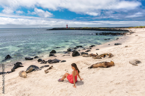 Galapagos tourist enjoying wildlife in nature looking sitting by many Galapagos Sea Lions on cruise ship adventure travel holidays vacation, Mann Beach (Playa Mann), San Cristobal, Galapagos, Ecuador.