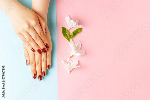 Female hands with red manicure on a pink and blue background, top view	