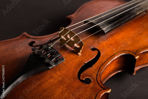 Detail of a Violin