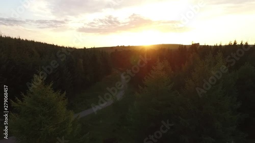 Flying over trees at Stockhill wood in the evening. Somerset, UK photo