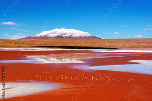 Laguna Colorada with numerous flamingo birds on the background of snow-capped volcano in the Bolivian Andes photo