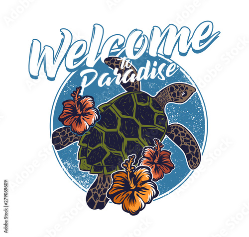 ocean sea wild turtle swimming