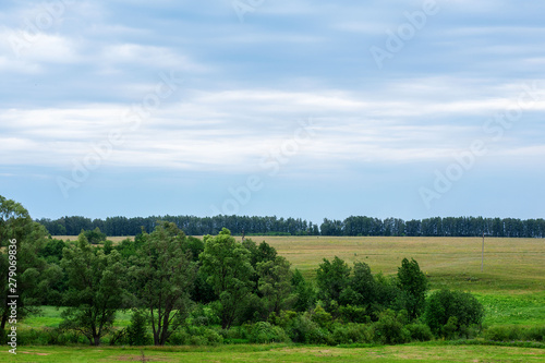 Green background with a beautiful lawn and blue sky