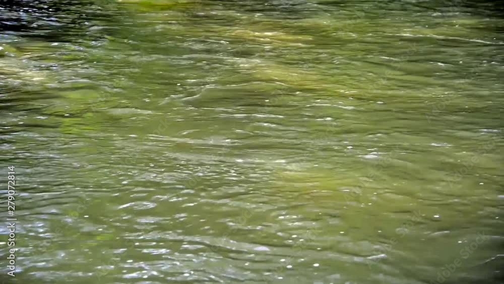 Reflecting dirty dark green Olt river flowing at summertime close up footage Reflecting dirty dark green Olt river flowing at summertime close up footage