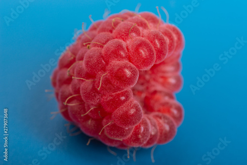 Fresh red raspberry on blue background juicy. Close Up. photo