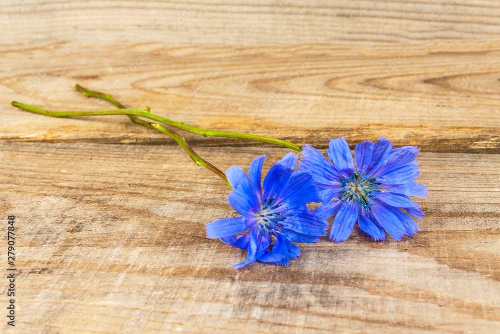 A bouquet of wildflowers lies on wooden boards. A bouquet of wildflowers lies on wooden boards.