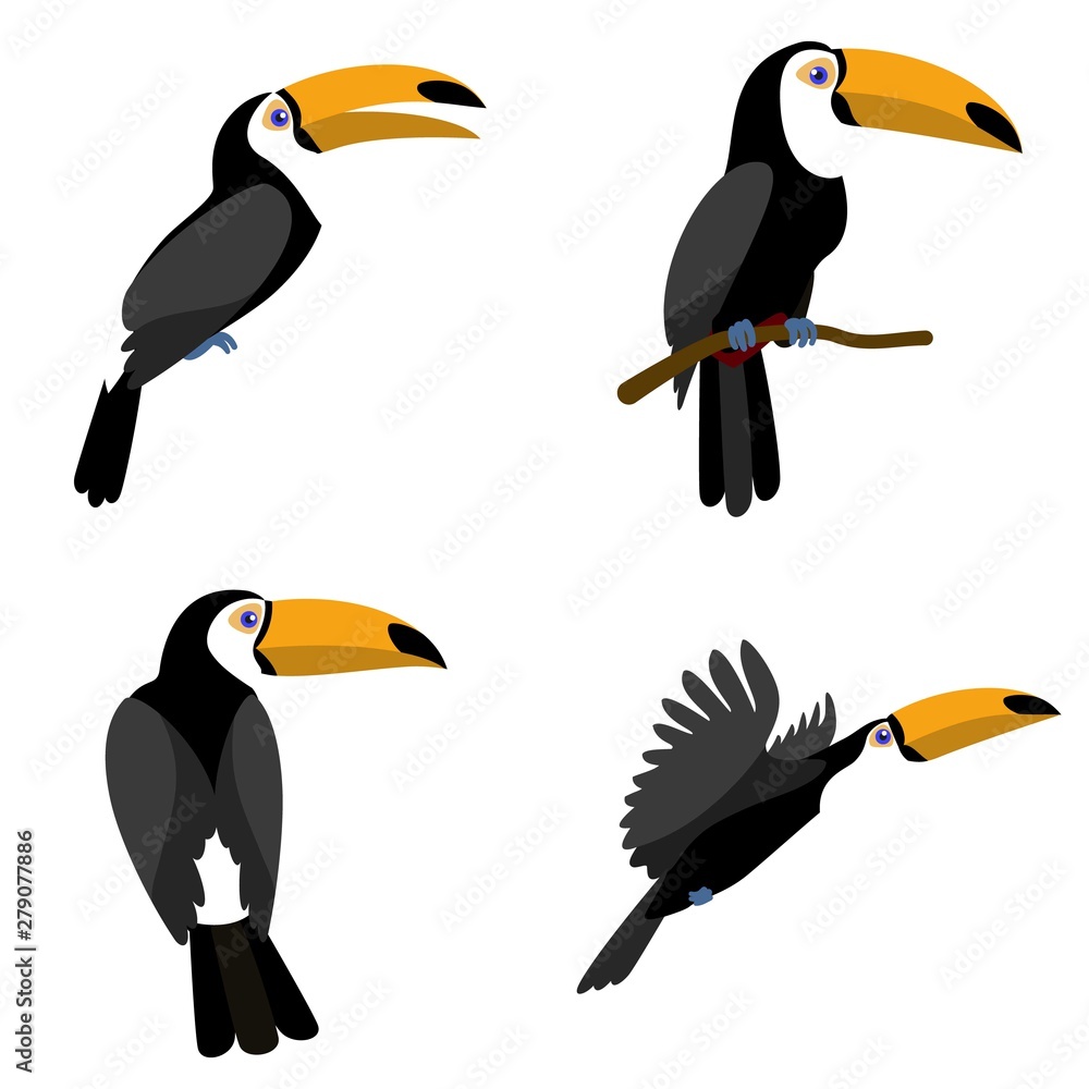Toucan icons set. Flat set of toucan vector icons for web design - obrazy, fototapety, plakaty 