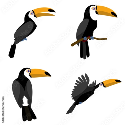 Toucan icons set. Flat set of toucan vector icons for web design photo