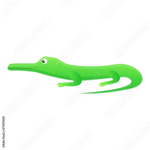 Crocodile icon. Cartoon of crocodile vector icon for web design isolated on white background
