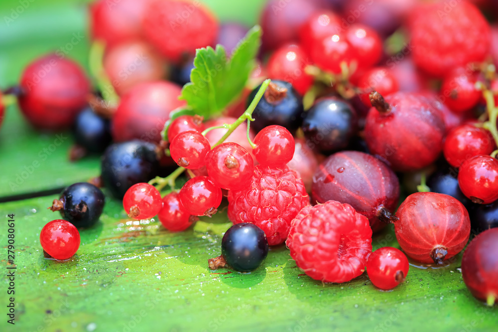 Mix of different summer berries on a wooden background Mix of different summer berries on a wooden background