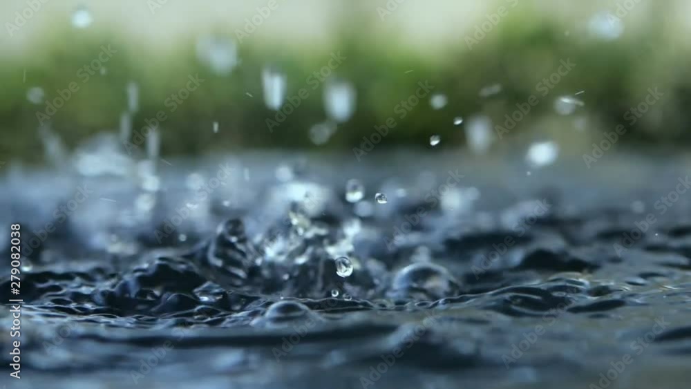 close up rain water drop falling to the water surface in rainy season close up rain water drop falling to the water surface in rainy season