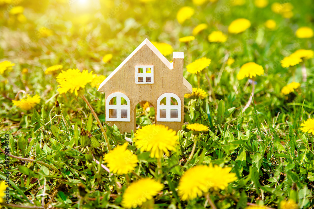 The symbol of the house stands among the yellow dandelions 