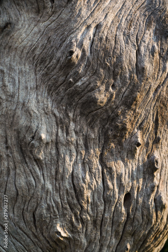 Old cracked wood grain texture background